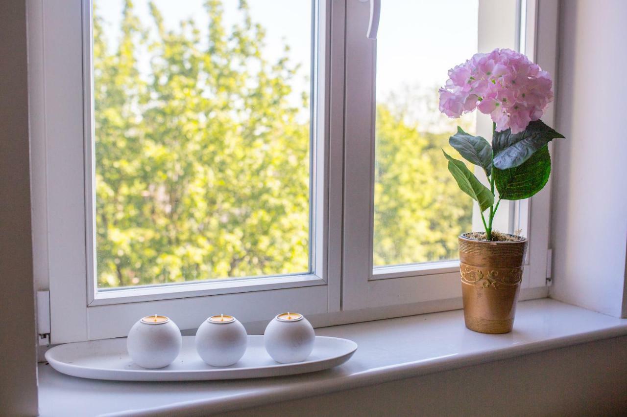Sunhouse Apartment Stary Toruń المظهر الخارجي الصورة